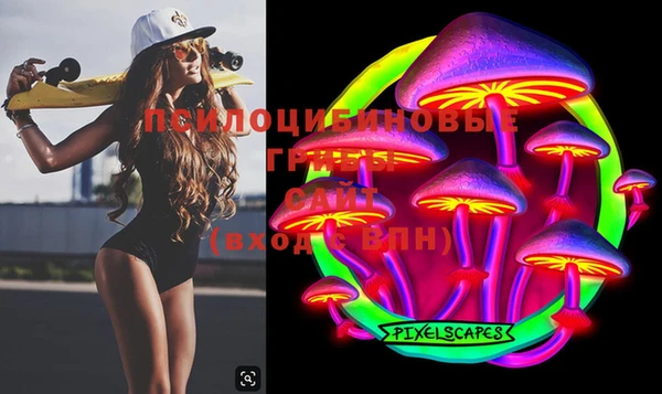 индика Семикаракорск