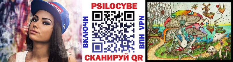 Галлюциногенные грибы мицелий  Купить  Северо-Курильск 